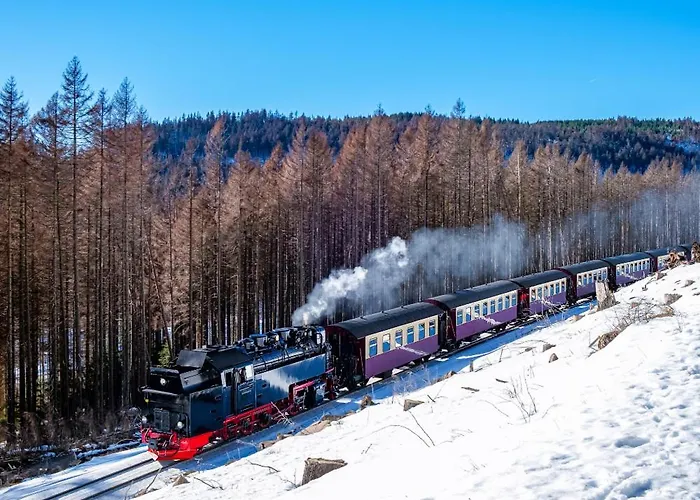 Brockenblick Mit Tollen Blick Und Schwimmbad Daire